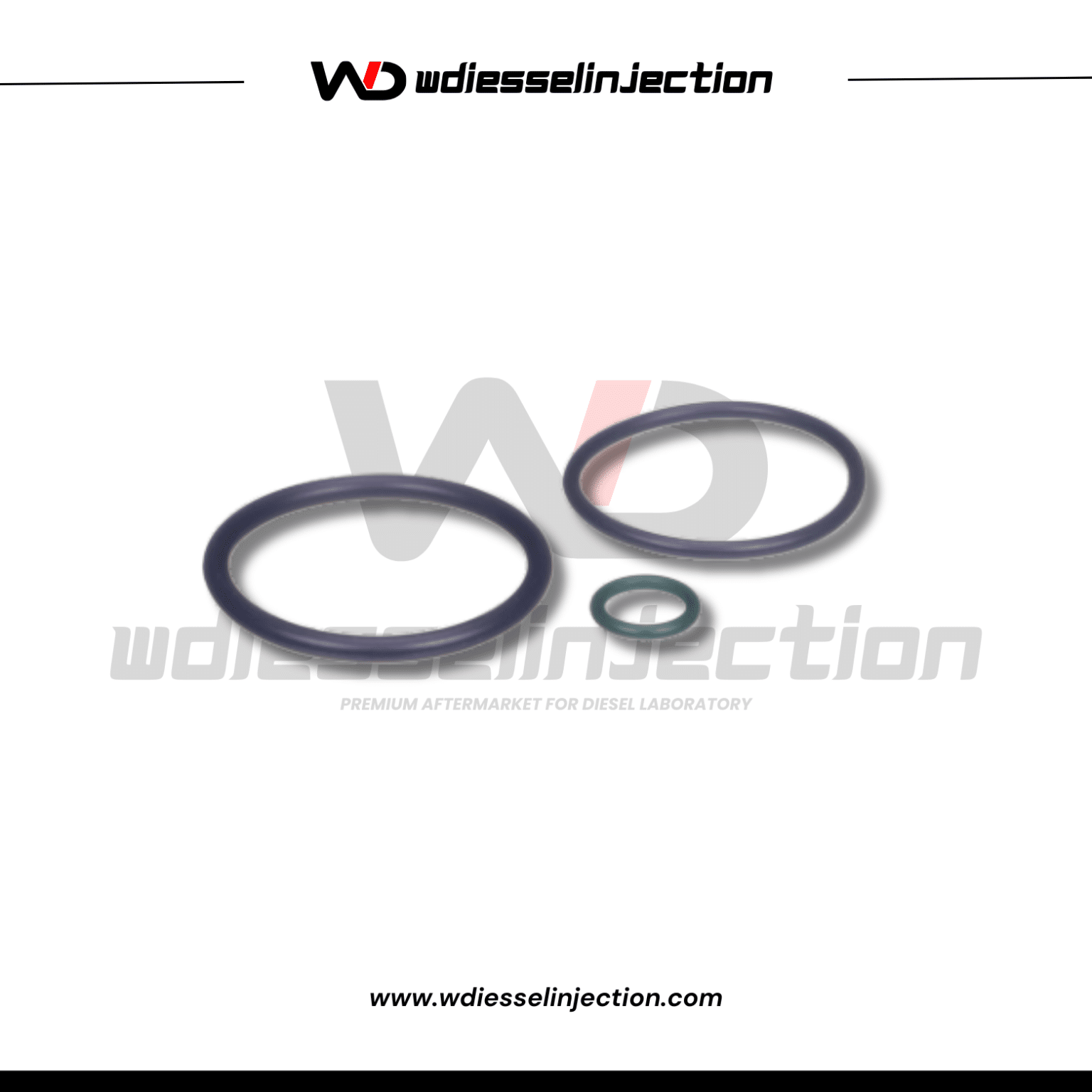 INJECTOR SEAL KIT C13/C15/3406E DELPHI HTK112 – Wdiessel Injection